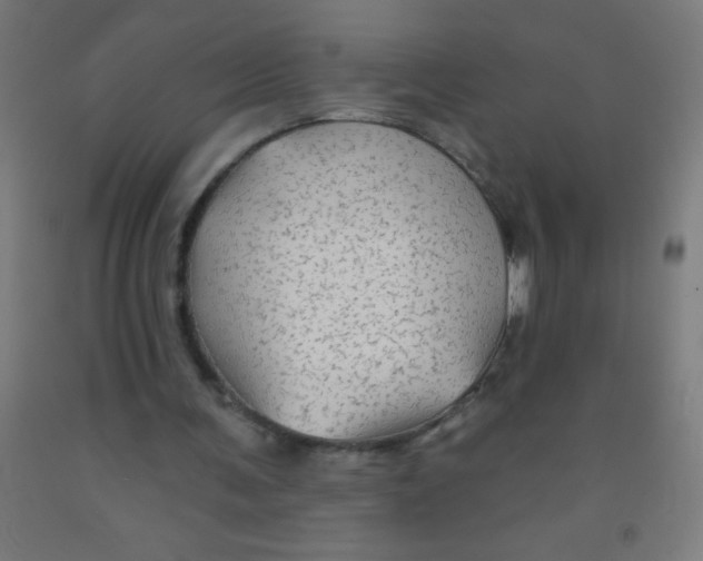 X0000092010291200709271535