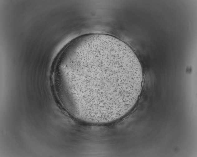 X0000092010292200709271535