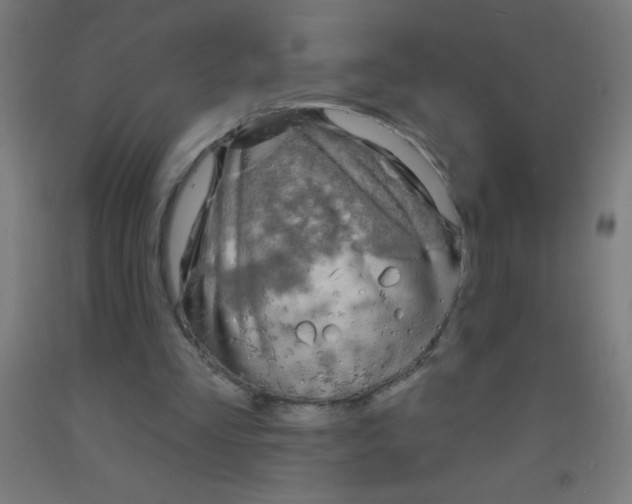 X0000092010293200709271535