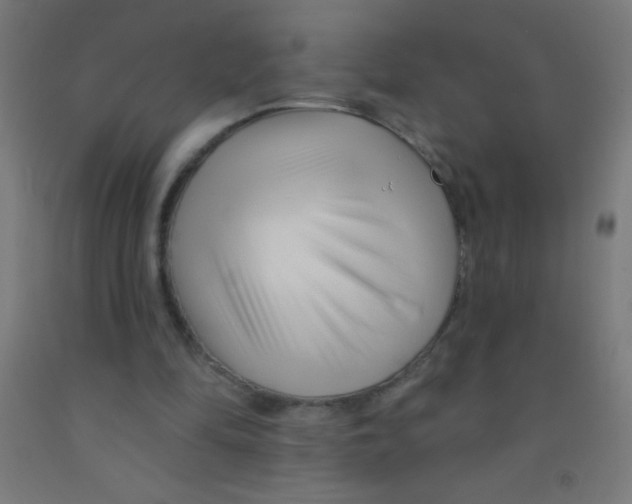 X0000092010294200709271535