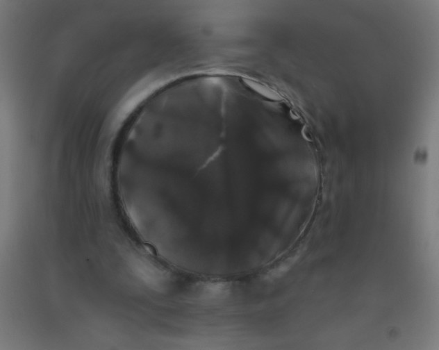 X0000092010295200709271535