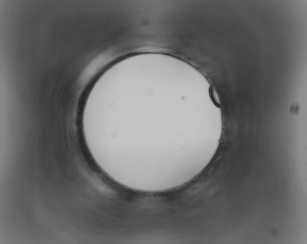 X0000092010296200709271535