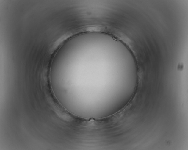 X0000092010297200709271535