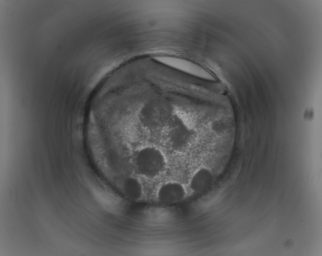 X0000092010299200709271535