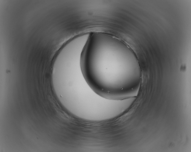 X0000092010301200709271534