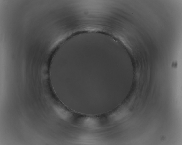 X0000092010303200709271534