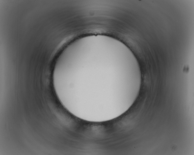 X0000092010304200709271534