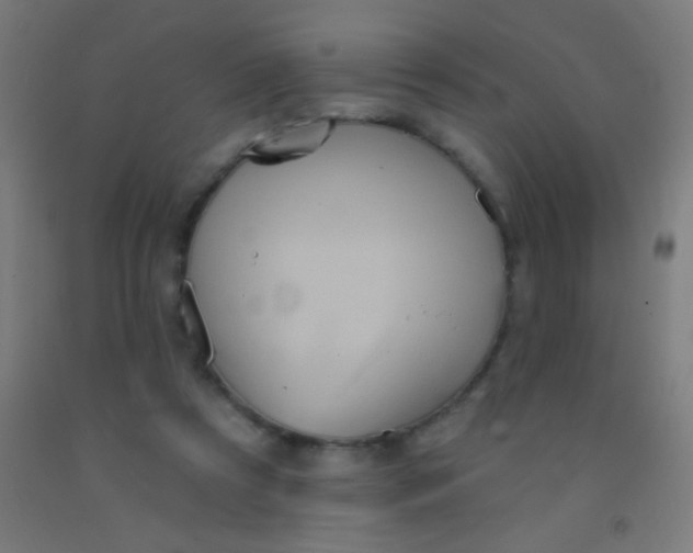 X0000092010305200709271534