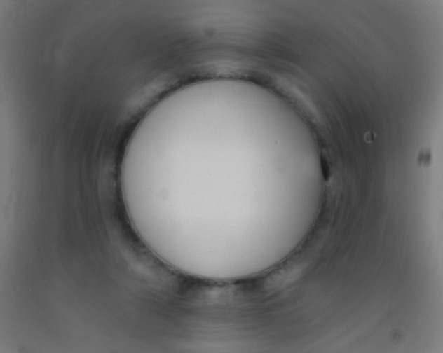 X0000092010306200709271534