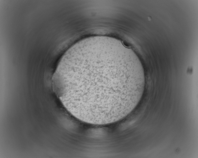 X0000092010307200709271534