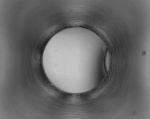 X0000092010308200709271534