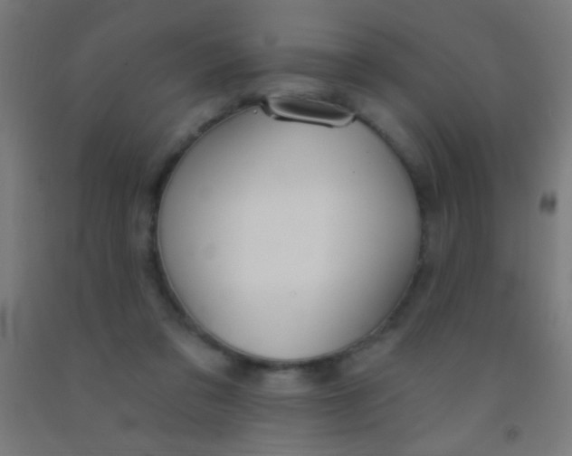 X0000092010309200709271534