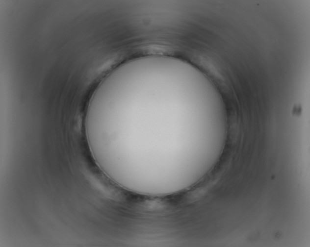 X0000092010310200709271534