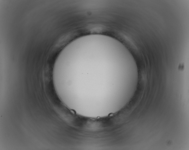 X0000092010311200709271534