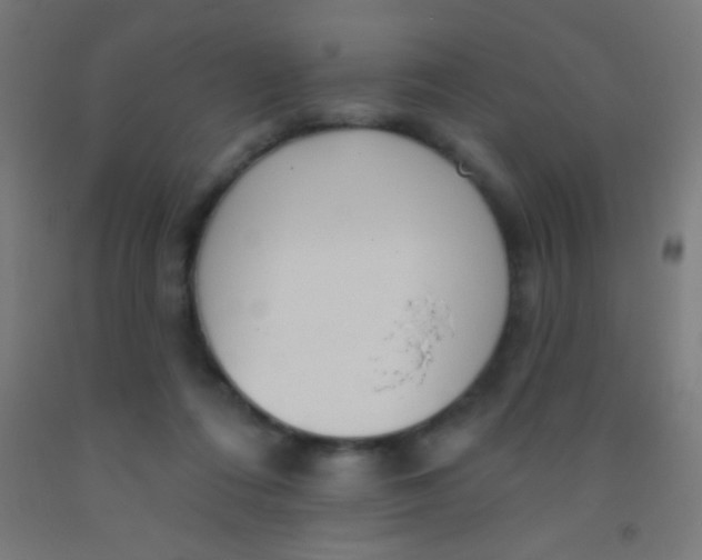 X0000092010312200709271534