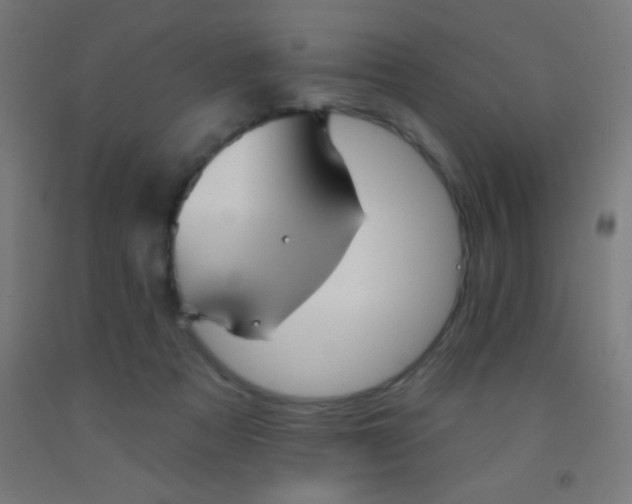 X0000092010313200709271534