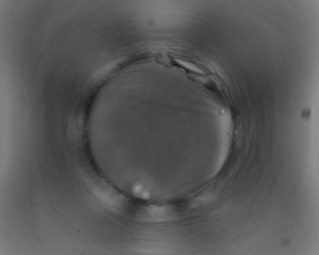 X0000092010314200709271534