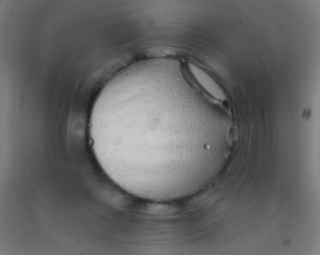 X0000092010315200709271534