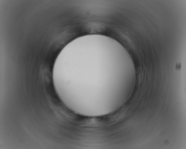 X0000092010316200709271534