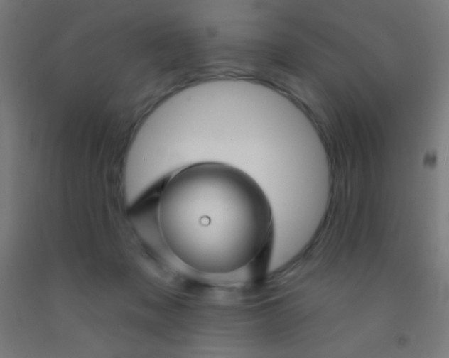 X0000092010317200709271534