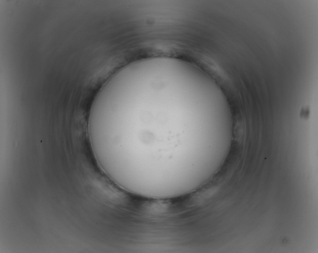 X0000092010318200709271534