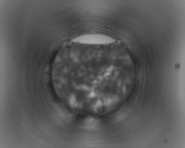 X0000092010319200709271534