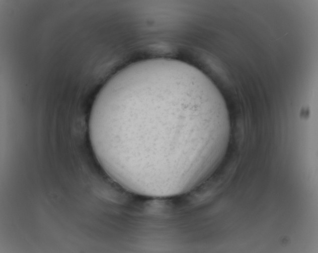 X0000092010320200709271534