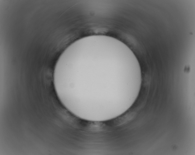 X0000092010321200709271534