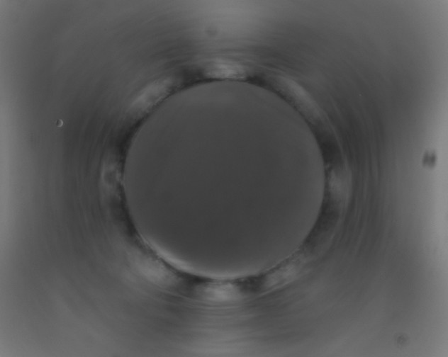 X0000092010322200709271534