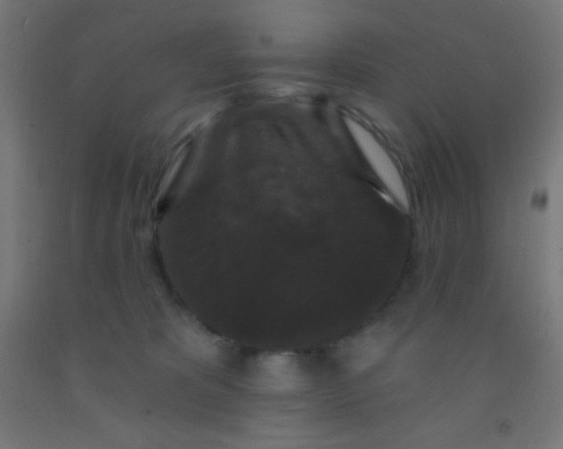 X0000092010325200709271534