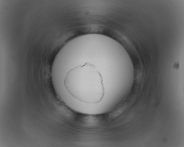 X0000092010326200709271534