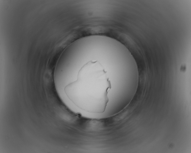 X0000092010327200709271534