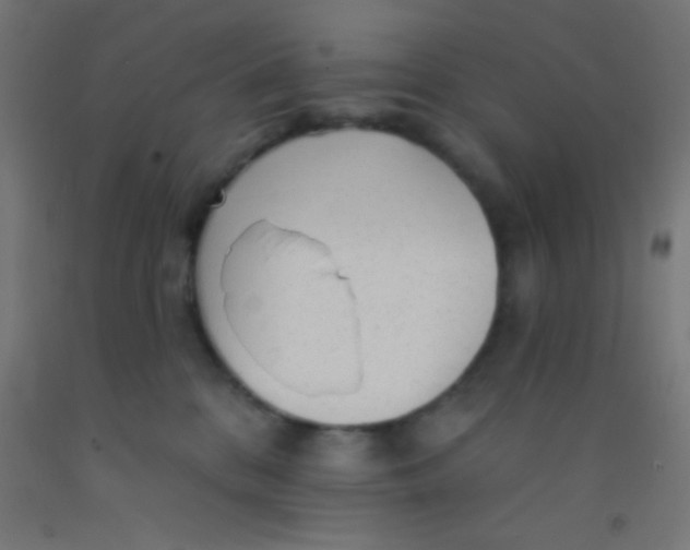 X0000092010328200709271534