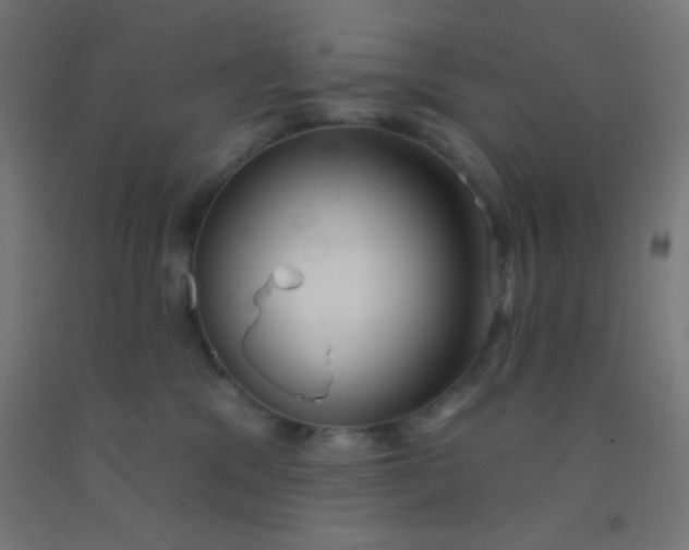 X0000092010329200709271534