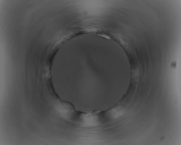 X0000092010331200709271534