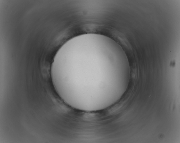 X0000092010332200709271534