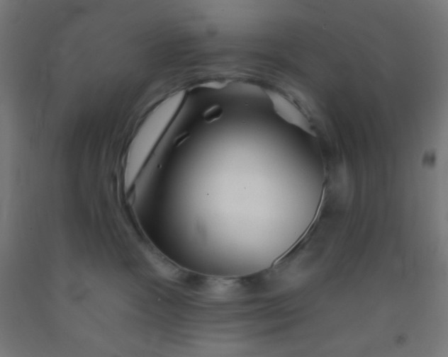 X0000092010333200709271534