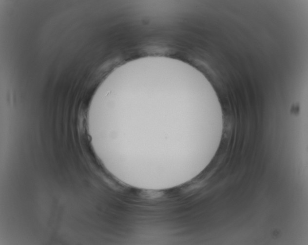 X0000092010334200709271534