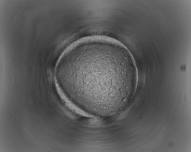 X0000092010335200709271534