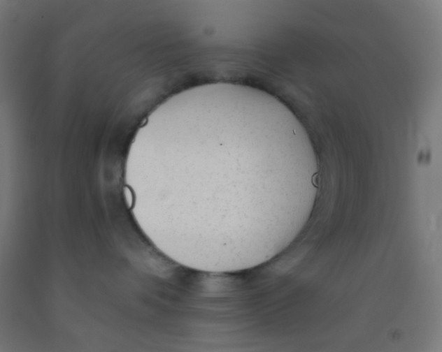 X0000092010336200709271534