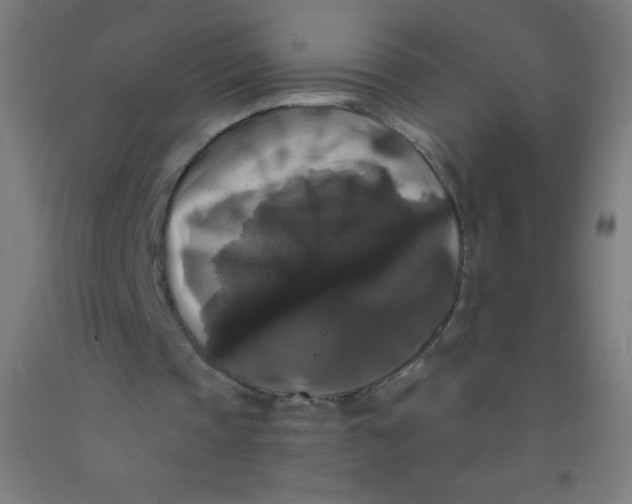 X0000092010337200709271533