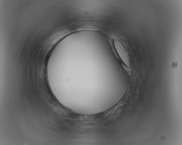 X0000092010338200709271533