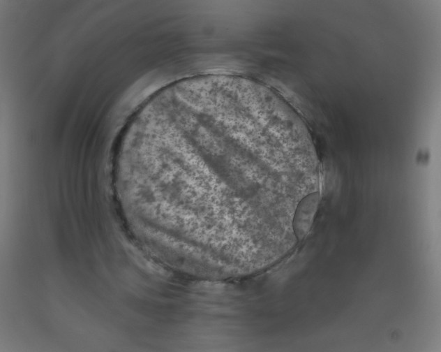 X0000092010339200709271533