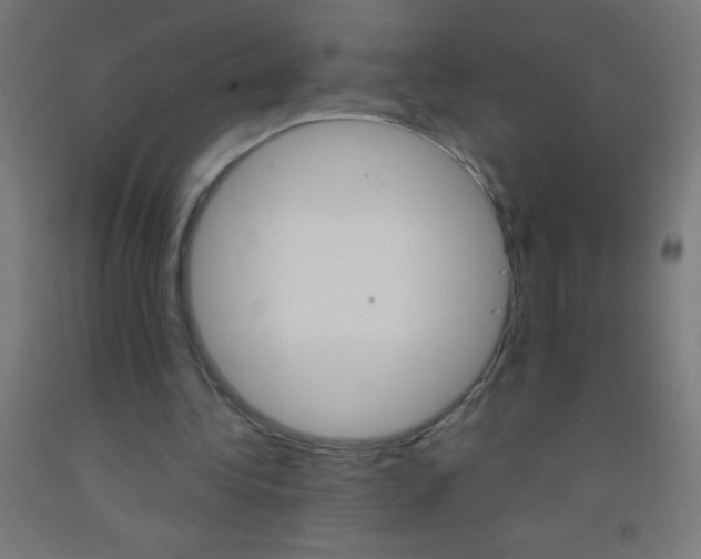 X0000092010340200709271533