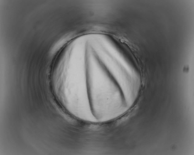 X0000092010341200709271534