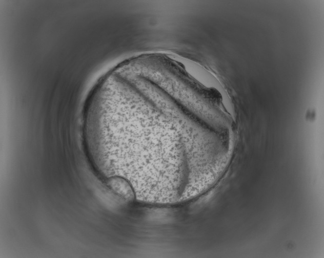 X0000092010342200709271534