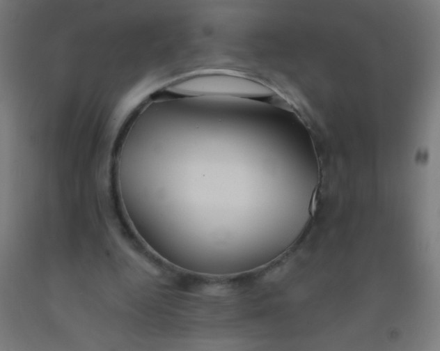 X0000092010344200709271534