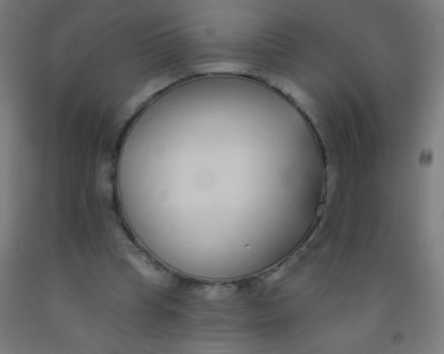 X0000092010345200709271534