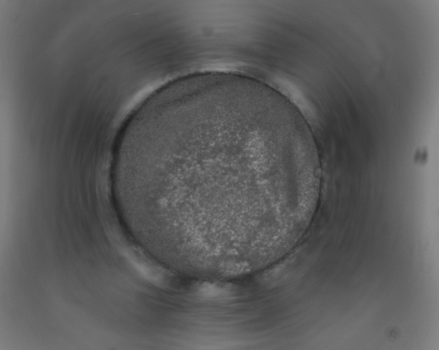 X0000092010346200709271534