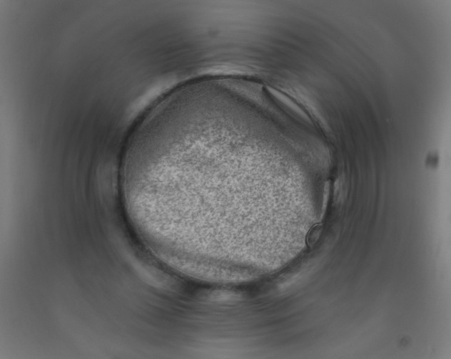 X0000092010348200709271534